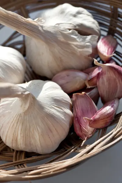 stock image Garlic