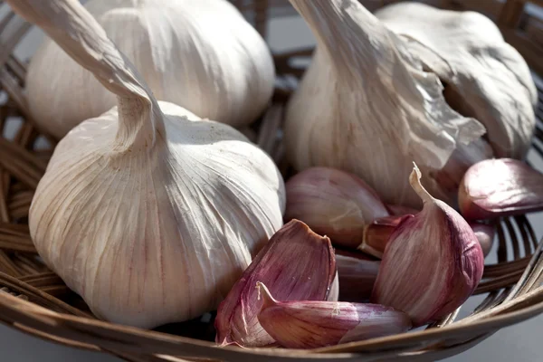 stock image Garlic