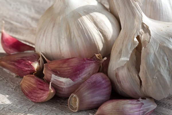 stock image Garlic