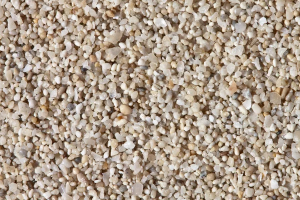 Sand grains — Stock Photo, Image
