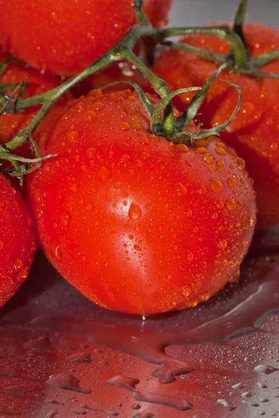 stock image Tomatos