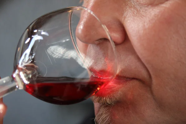 Ochutnávka vín — Stock fotografie