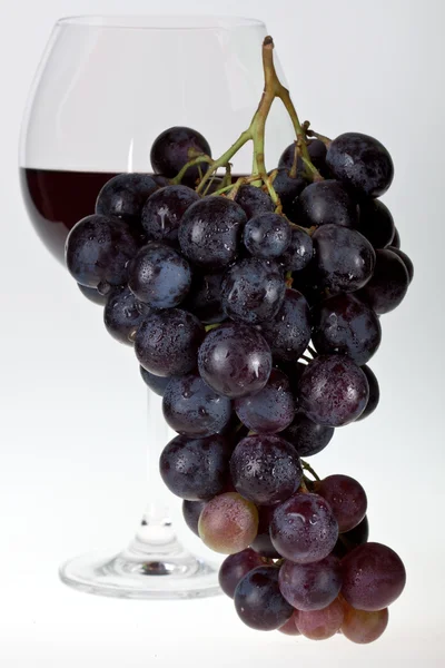 Wine grapes and red wine — Stock Photo, Image