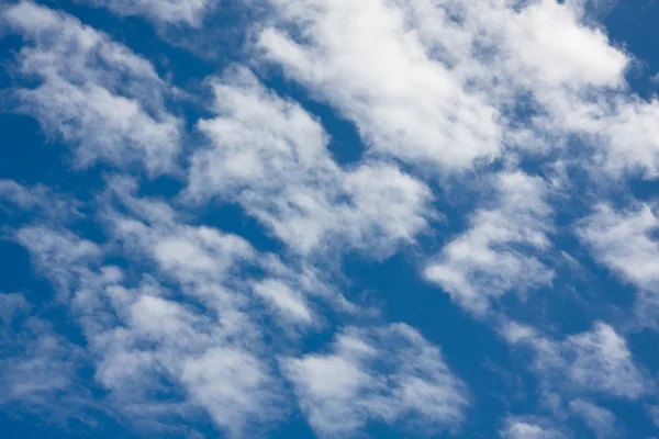 Stock image Blue sky and white clouds