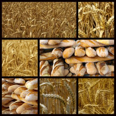 Bread and wheat clipart