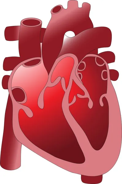 Le dispositif est le cœur humain — Image vectorielle