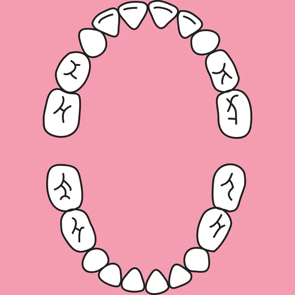 Ilustración de dientes deciduos (mandíbula superior e inferior ) — Vector de stock