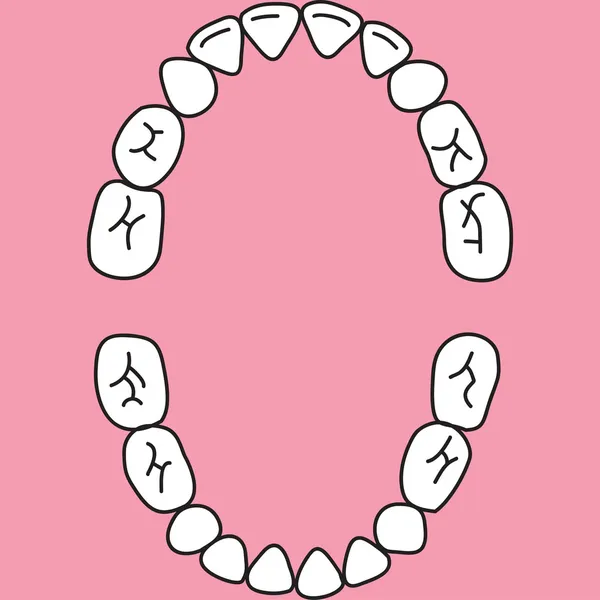 Ilustración de dientes deciduos (mandíbula superior e inferior ) Ilustración de stock