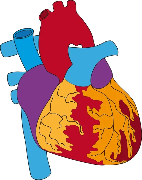 심장 1 — 스톡 벡터