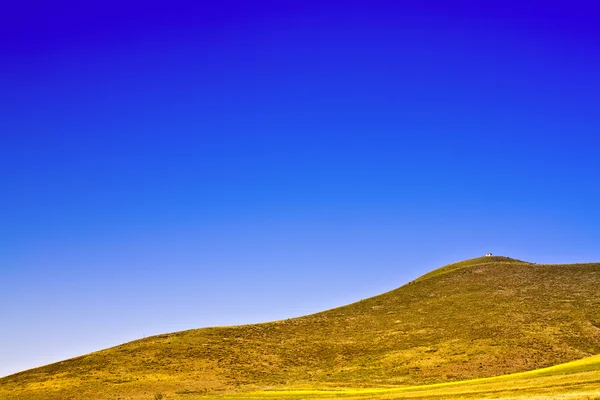Renkli düz mavi gökyüzü altında — Stok fotoğraf