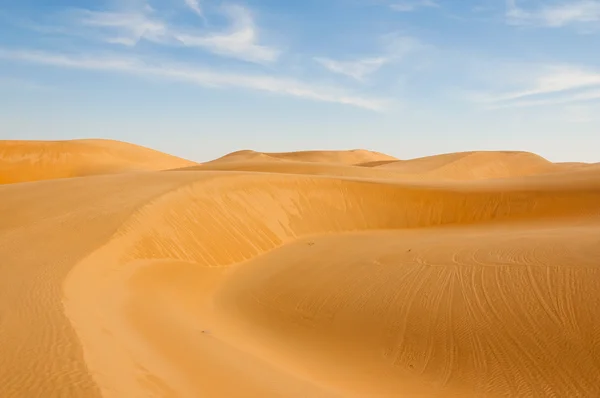 Пустелі Панорама Стокове Зображення