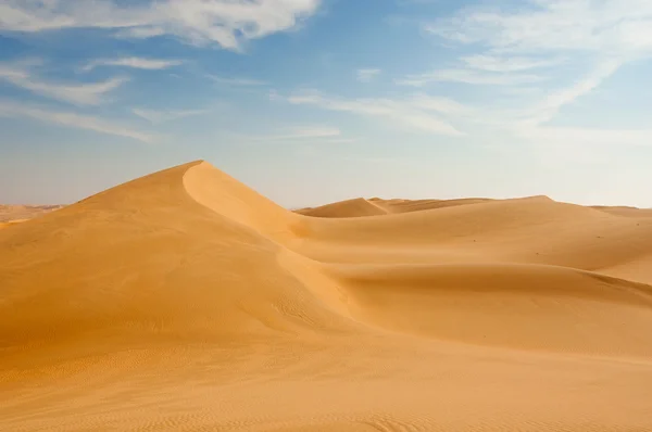 사막의 파노라마 스톡 이미지