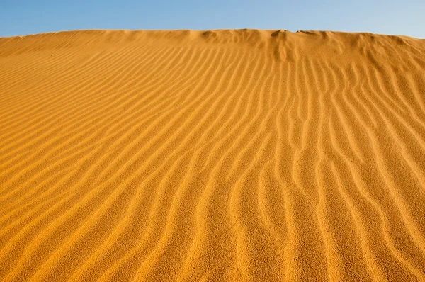 사막의 파노라마 스톡 사진
