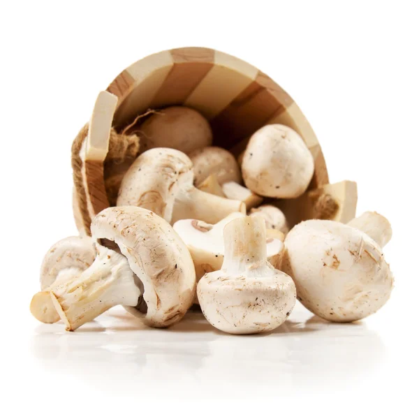 Mushrooms champignon scattered from a wooden bucket — Stock Image Mushrooms champignon scattered from a wooden bucket Royalty Free Stock Photos