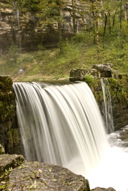 Cascada tr la naturaleza