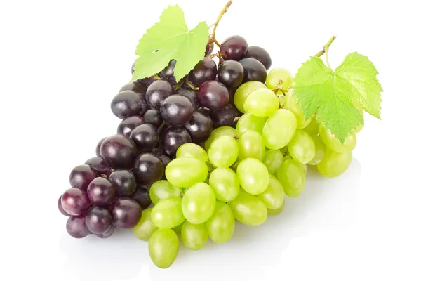 Frutos de uva — Fotografia de Stock