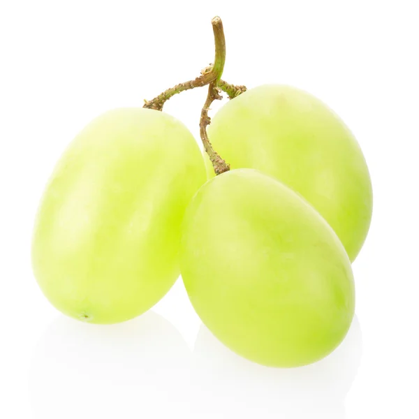 Zöld szőlő gyümölcs — Stock Fotó