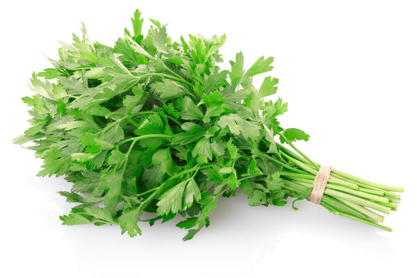 Green parsley leaves bunch