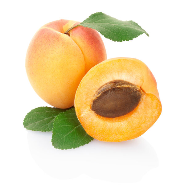 Apricot with leaves isolated