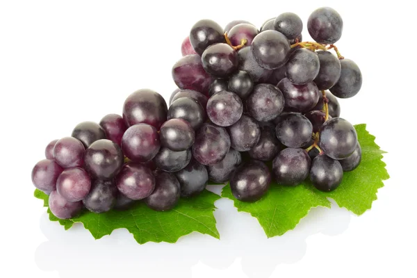 Čerstvé červené hroznové víno na zelených listech — Stock fotografie