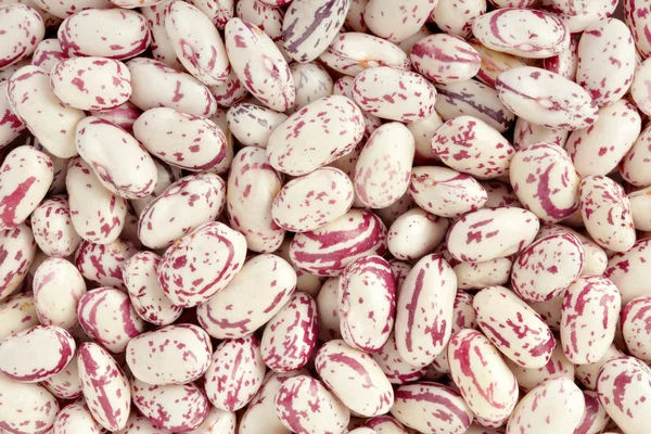 stock image Red beans texture background