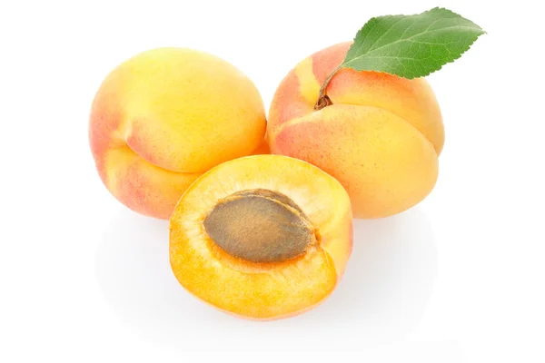 Apricot fruit with leaf isolated on white — Stock Photo, Image