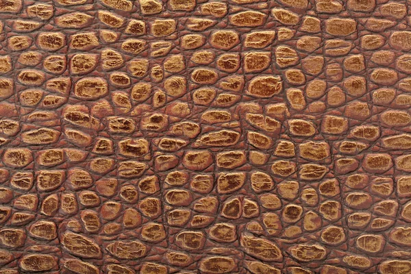 Tle ze skóry krokodyla — Zdjęcie stockowe
