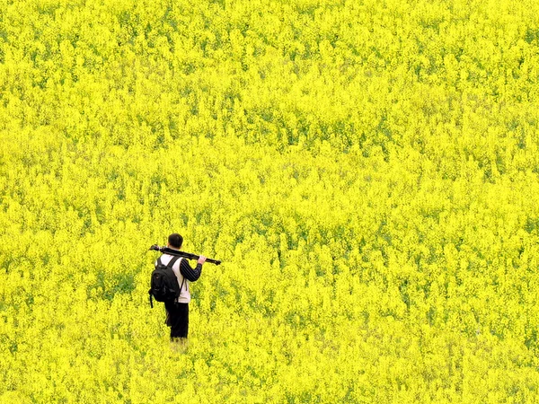 Nature photographer with tripod in a field of flowers — Stock Photo, Image