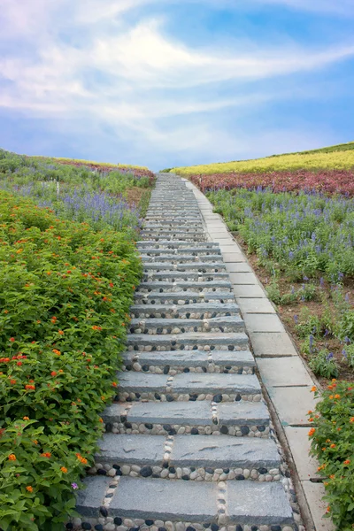 Kő lépcsőn a virágok és a kék ég Stock Fotó