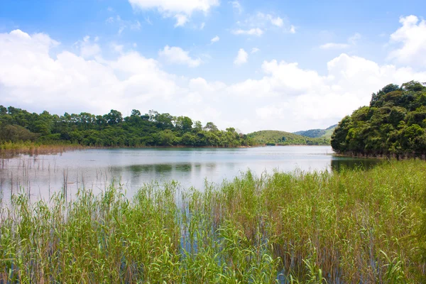 stock image Lake in nature with blue sky