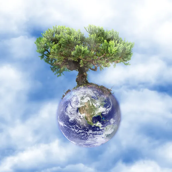 Earth tree in the clouds — Stockfoto