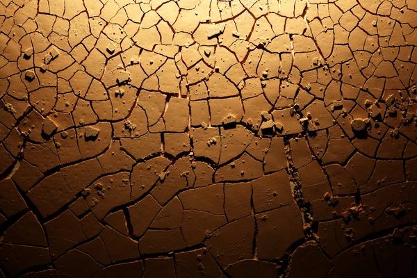 Dried cracked earth — Stock Photo, Image