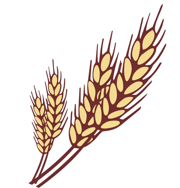 Weizenohren-Vektorillustration — Stockvektor