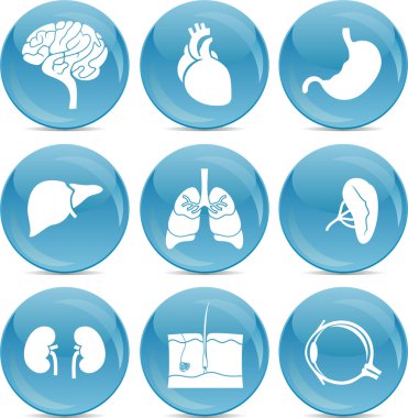 Blue ball icons anatomy clipart