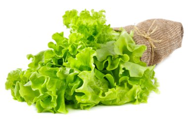 Green salad leaves. clipart