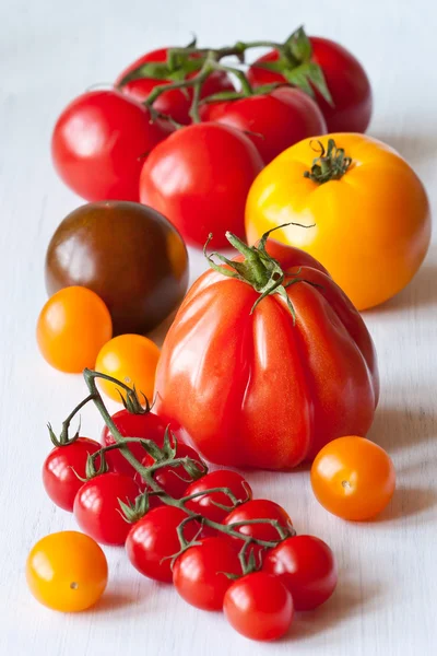 Rozmanité druhy rajčat. — Stock fotografie