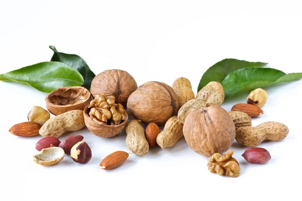 Assortment of nuts. — Stok fotoğraf