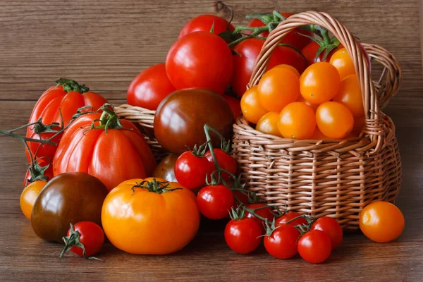 Pomidory. — Zdjęcie stockowe