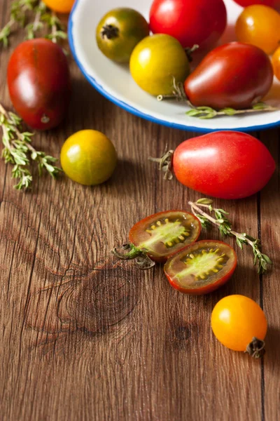 Tomates de relíquia . — Fotografia de Stock