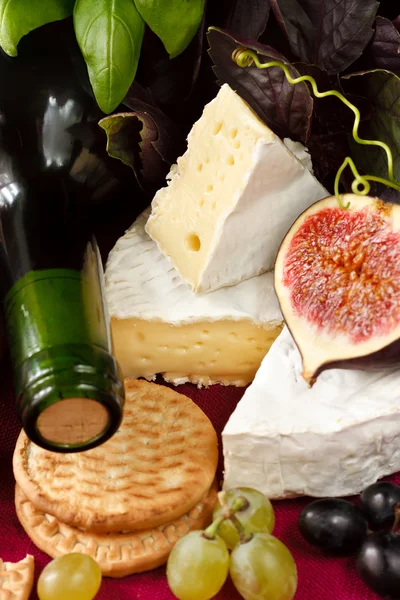 Sýr a víno. — Stock fotografie