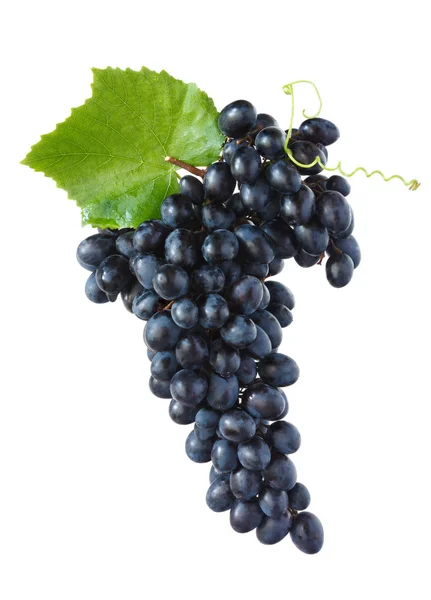 Red grape. — Stock Photo, Image