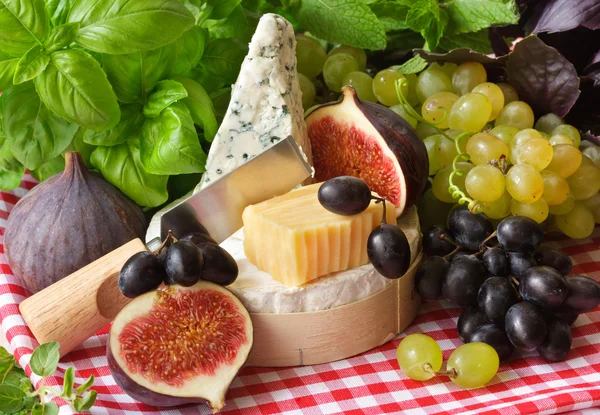 Cheese and fruits. — Stock Photo, Image