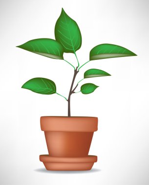 growing plant in pot clipart