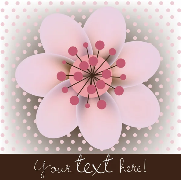 Ενιαίο ανθισμένες κερασιές λουλούδι κάρτα — Διανυσματικό Αρχείο