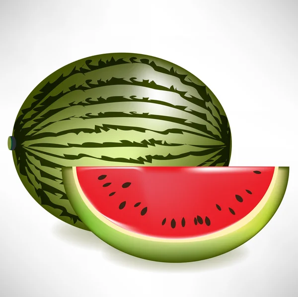 Isolated juicy watermelon with slice — Stock Vector