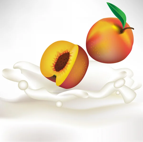 Cream splash with apricot falling — Stock Vector