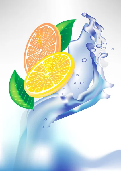 Φέτες πορτοκάλι φρέσκο λεμόνι στο νερό παφλασμών — Διανυσματικό Αρχείο