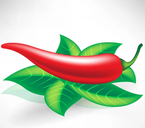 Φρέσκο κόκκινο πιπέρι — Διανυσματικό Αρχείο