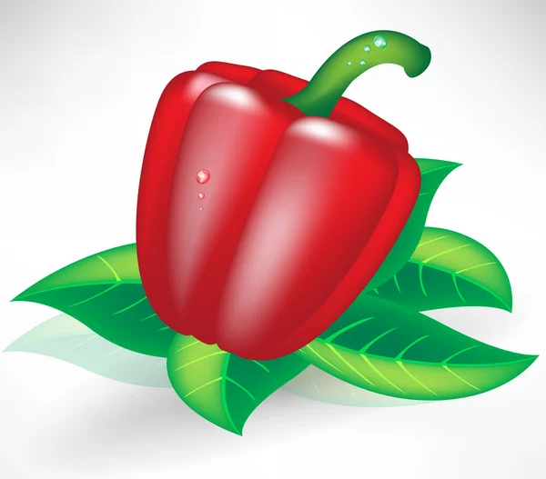 Frischer roter Paprika auf Blättern — Stockvektor