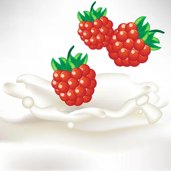 在奶油牛奶溅莓果 — 图库矢量图片